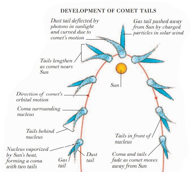 DEVELOPMENT OF COMET TAILS