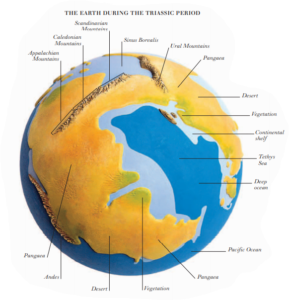 ancient earth the triassic