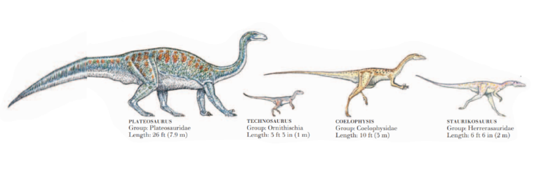 interesting facts about the triassic period